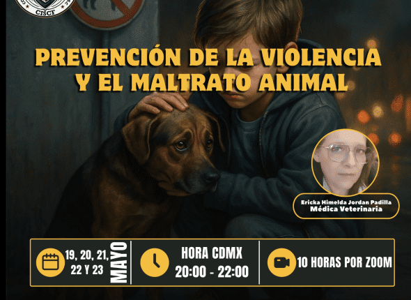 Captura de pantalla 2025-05-13 a las 9.54.18 p. m.